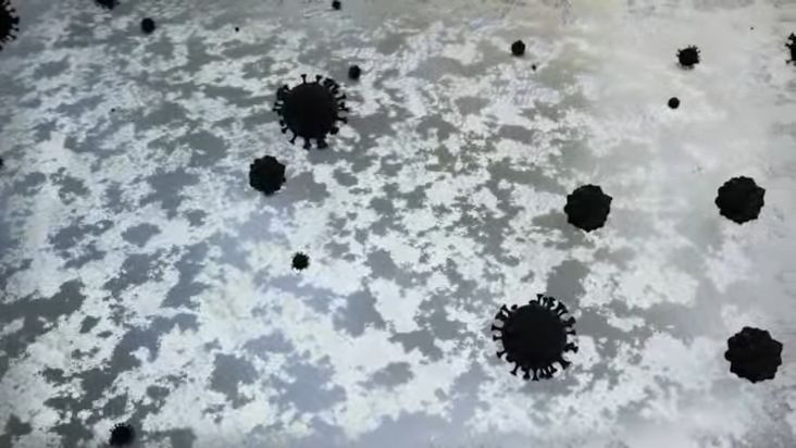 Màng lọc bụi thô bắt giữ những hạt bụi có kích thước lớn 