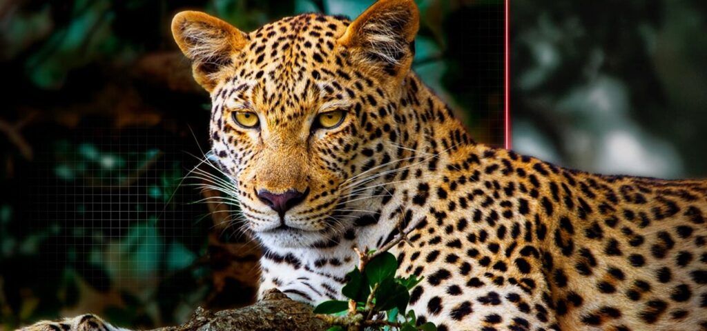 Công nghệ AI Picture Pro sẽ mang cả thế giới