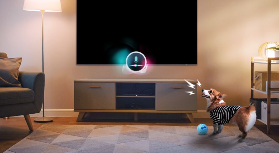 Chế độ Pet Care giữ kết nối với thú cưng ngay cả khi bạn không có nhà tiện lợi 