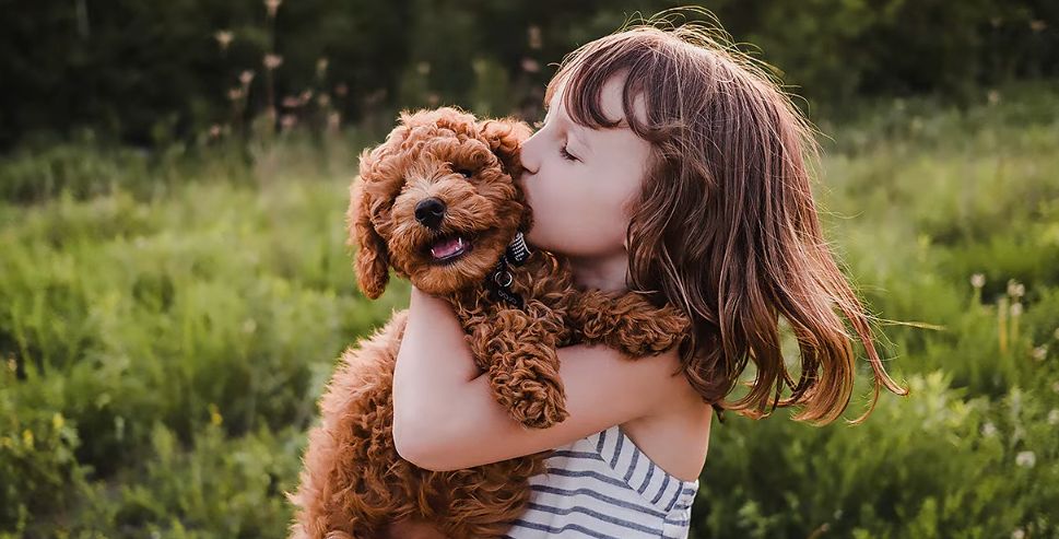 Công nghệ 4K AI Upscaling sử dụng trí tuệ nhân tạo thông minh AI