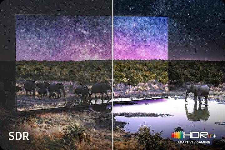 Công nghệ Neo Quantum HDR+ mang đến hình ảnh rõ nét