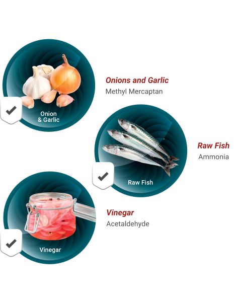 Công nghệ lọc khử mùi, diệt khuẩn, bảo vệ sức khỏe người dùng
